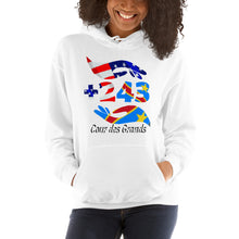 Load image into Gallery viewer, Sweat à capuche +243 COUR DES GRANDS