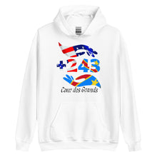 Load image into Gallery viewer, Sweat à capuche +243 COUR DES GRANDS